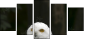 57060206