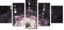 57185040