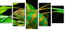 57907029