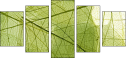 58647115