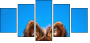 58783058
