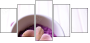 59034418