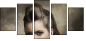 59478658