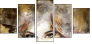 60051496