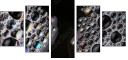 60098893