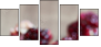 60166700
