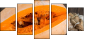 60187739