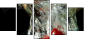 60316396