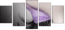 60390029