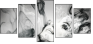 60831181