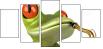61064251
