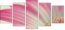 62303581