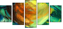 62333985