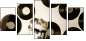 62539276