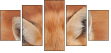 62758452