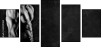 63490164