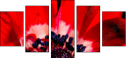 64202605