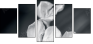 64479255