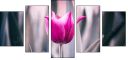 64764668