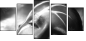 65561483