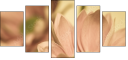 65771321