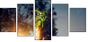 65958619