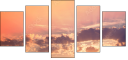 67822236