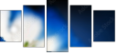 68169392