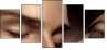 68544330