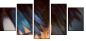 68796716