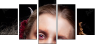 68860833