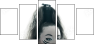 69263102