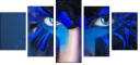 69641172