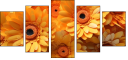 701850992