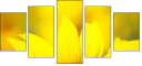 70553705