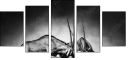 71412657