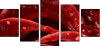 75798905