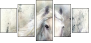 76649647