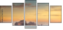 77497278