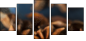 78130865