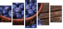 79175349