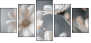 877089715