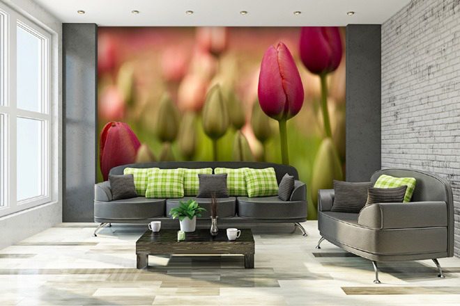 Tulipanowy-raj-kwiaty-fototapety-demur