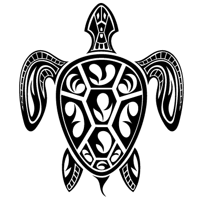 Żółw morski
