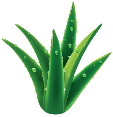 Aloes lekiem na design