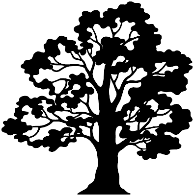 Postawny dar natury - Drzewo życia